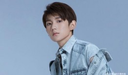 娱乐大爆料王源最新,娱乐大爆料揭秘偶像幕后故事